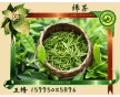 長(zhǎng)期供應(yīng)綠茶香味納米膠囊